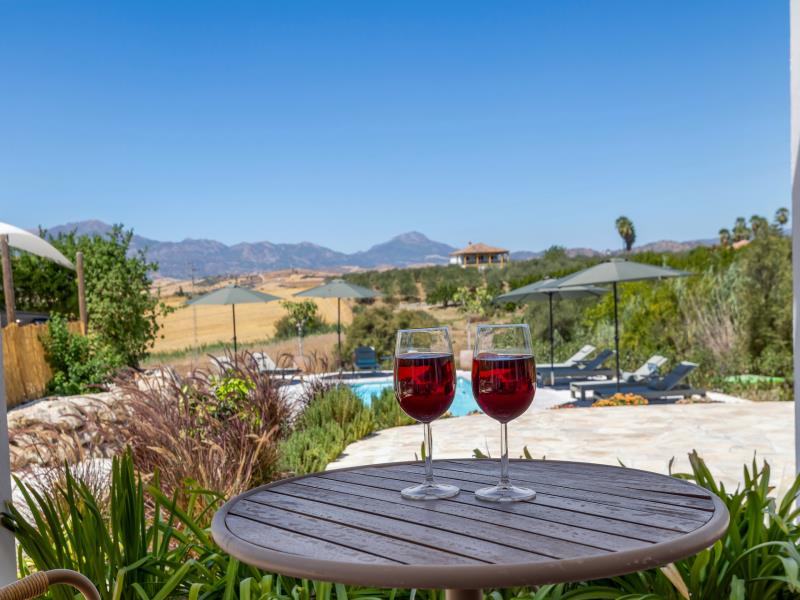 Two glasses of red wine on the terrace overlooking the pool and mountains