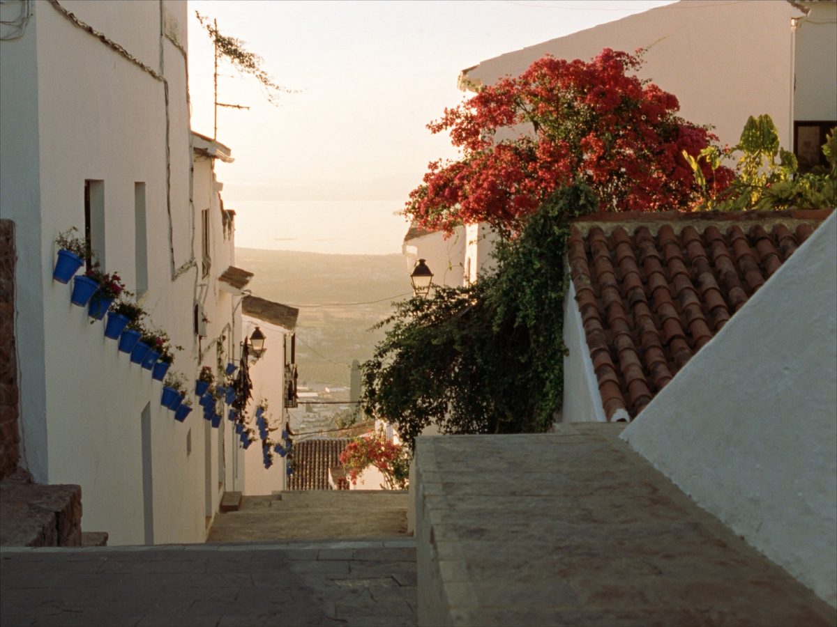 Illustration: whitewashed village street with blue flower pots